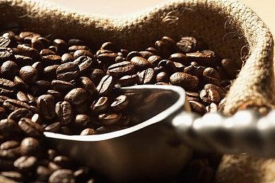 PC玩家新利器！微软公布Edge浏览器游戏助手