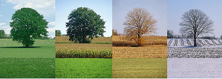 《收获日3》枪械有独立的升级进度